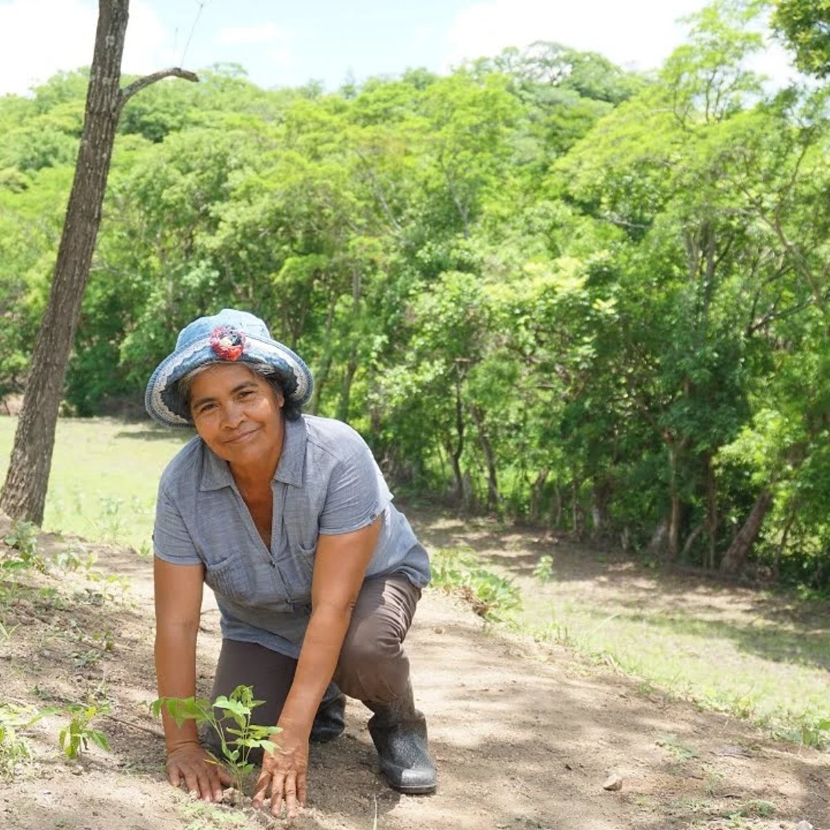 Limay Community Carbon Project Nicaragua